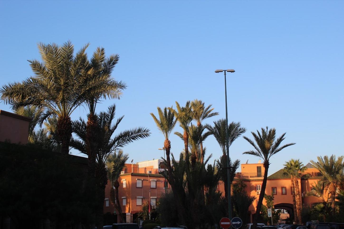Riad Darnooz Marrakesh Extérieur photo