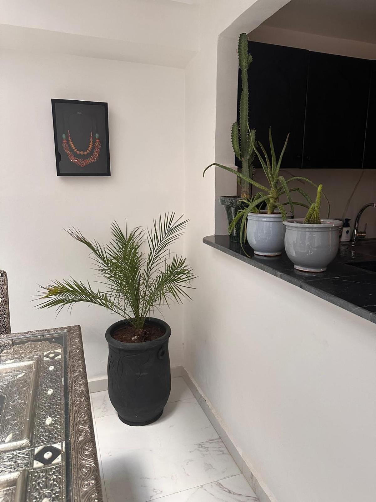 Riad Darnooz Marrakesh Extérieur photo